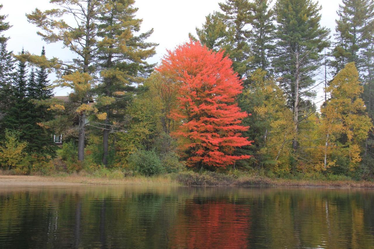 Spring Lake Resort Dwight Exteriér fotografie